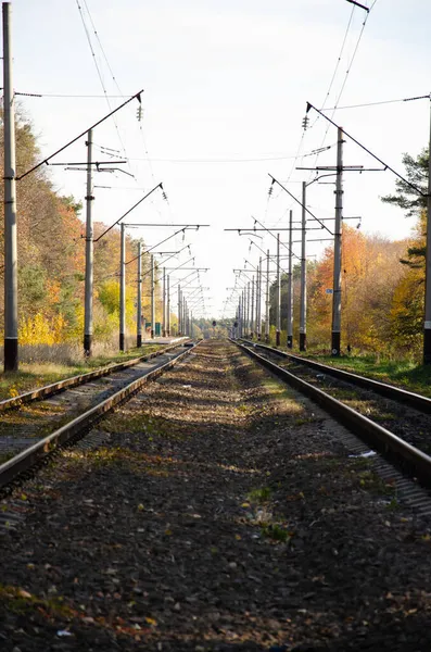 Railway Located Autumn Trees Rails Sleepers Next Pillars Pass Autumn — Stock Photo, Image