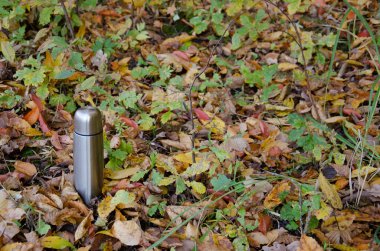 Termos ve sıcak içecek sonbahar ormanlarında fotokopi çekiliyor. Sonbahar rahatlığı kavramı. Tankın yansıtıcı çelik yüzeyi yaprakların arasına yerleştirilir.