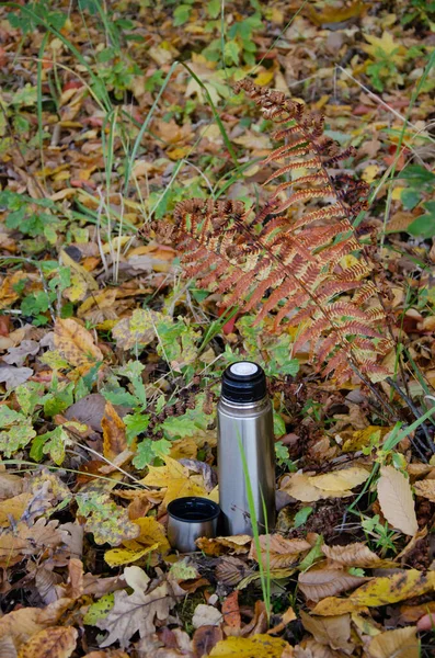 Thermos with hot drink stands in autumn forest with copy space. Concept of autumn comfort. Reflective steel surface of tank is placed among leaves.