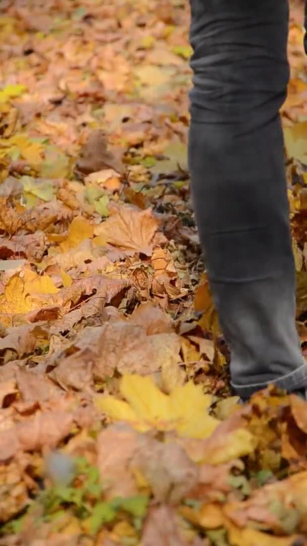Donna Cammina Lungo Fogliame Asciutto Autunnale Nel Parco Cittadino Disperde — Video Stock