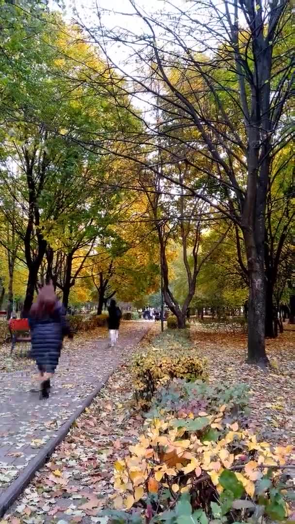 Άνθρωποι Περπατούν Στα Σοκάκια Του Φθινοπωρινού Πάρκου Διάθεση Κατακόρυφου Υλικού — Αρχείο Βίντεο