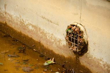 Çeşmedeki su borusu düşen yapraklarla tıkanmış. Havuzda kuru yapraklar olan kanalizasyon. Sonbahar mevsimi konsepti. Düşen yapraklar sokağın ortasında yatıyor..