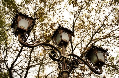 Sonbahar ağaçlarının ve şehir parkındaki gri gökyüzünün arka planına demir fener döşedim..
