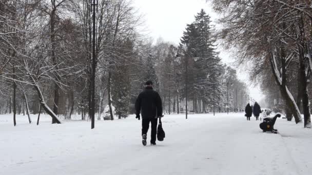Άνθρωποι Περπατούν Χιονισμένο Σοκάκι Παγκάκια Ανάμεσα Στα Δέντρα Στο Χιόνι — Αρχείο Βίντεο