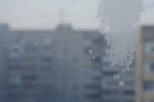 Frost Struktur Fönstret Mot Bakgrund Staden Vinterdagen Närbild Snöigt Glas — Stockfoto