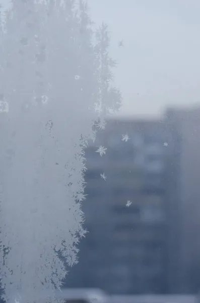도시의 과맞닿아 구조물이다 건물의 눈덮인 유리잔을 닫는다 겨울철 유리의 서리가 — 스톡 사진