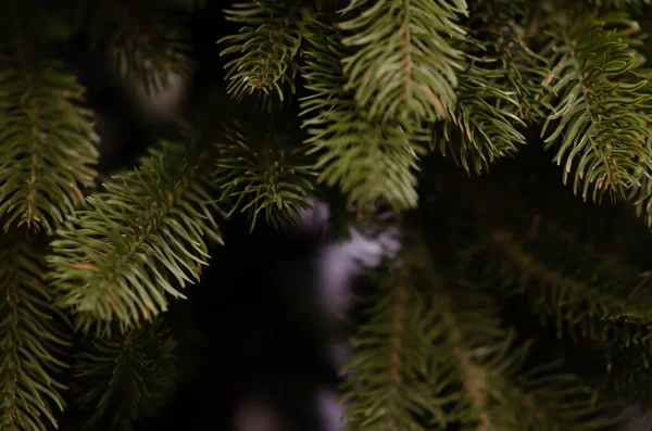 Árbol Navidad Artificial Tradicional Luces Brillantes Fondo Con Espacio Copia — Foto de Stock