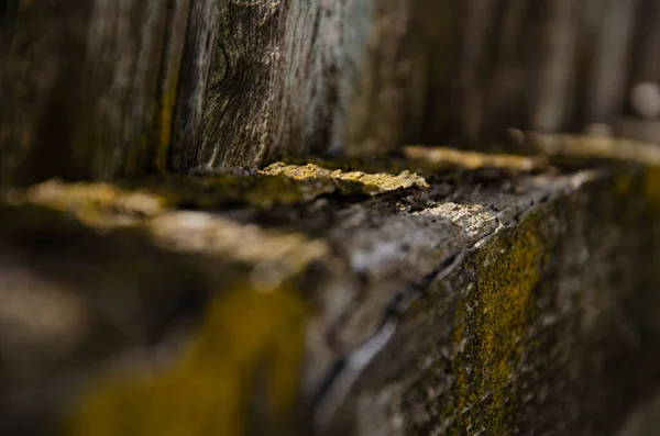 Abstract Background Old Wooden Fence Sun Rays Break Wooden Beams — Fotografia de Stock