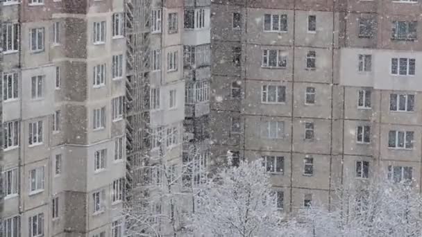 Nevadas Ciudad Nieve Cae Sobre Fondo Las Casas Clima Invernal — Vídeos de Stock