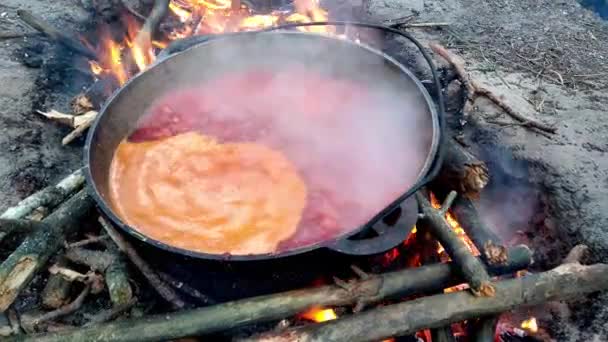 Cauldron Boiling Borscht Campfire Field Kitchen Cooking Open Fire Nature — Stock Video
