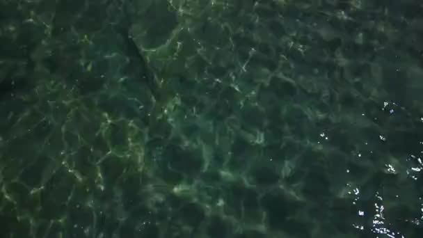 Bovenaanzicht Natuurlijke Achtergrond Van Rimpelend Zee Groen Zeewater Luchtfoto Van — Stockvideo