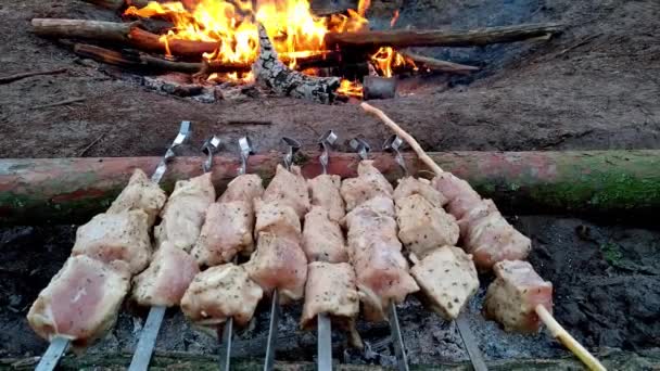 Selective Focus Barbecues Grill Skewers Meat Lie Coals Tasty Meat — Stock Video