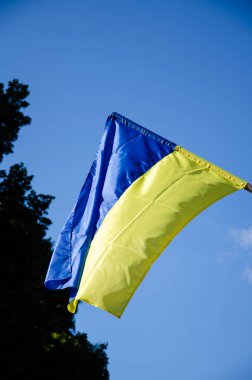 Parkta Ukrayna bayrağı dalgalanıyor. Rüzgar açık gökyüzüne ve yeşil ağaçlara karşı Ukrayna 'nın mavi-sarı bayrağını dalgalandırıyor. Ülkenin ulusal sembolleri.