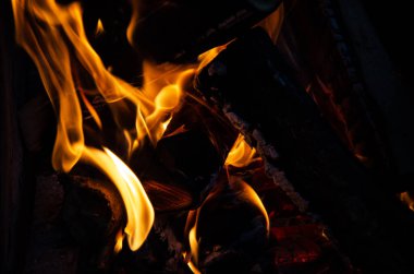 Odunları ateşte yakın. Alevlerin Macro ateşi. Alevlerin seçici odak dilleri. Kamp ateşinde odun yanar..