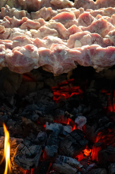 Selectieve Focus Barbecues Grill Spies Met Vlees Liggen Boven Kolen — Stockfoto