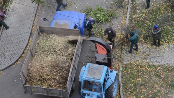 Lutsk Ukraina November 2020 Säsongsarbete Staden Utrustning Och Stadsarbetare Vid — Stockvideo