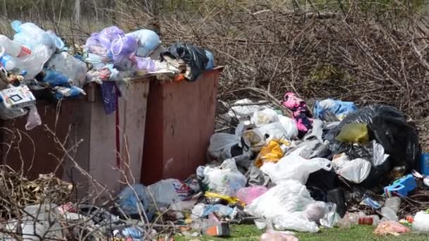 Zolotonosha Ucraina Maggio 2021 Lattine Traboccanti Con Cumulo Spazzatura Trovano — Video Stock