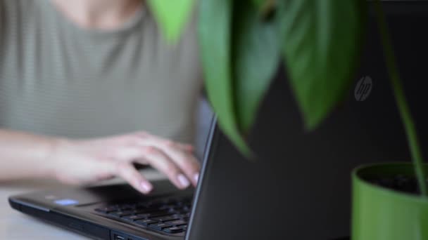 2022年2月5日 美国斯坦福 有选择地关注Hp标志模糊背景下的高加索女人使用笔记本电脑工作 上网购物 在家工作的概念 — 图库视频影像
