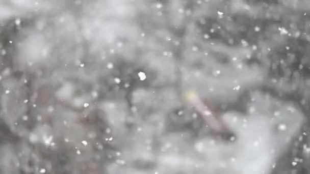 城里下着雪 雪落在操场的后面 冬天的天气有雪花的背景 住宅区多雪的美丽冬天 — 图库视频影像