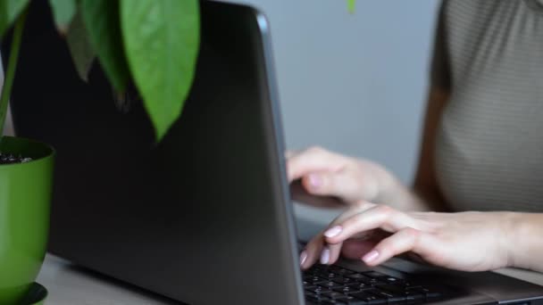 2022年2月5日 美国斯坦福 白人妇女使用笔记本电脑Hp上网工作 有人在研究她的装置 在家工作的概念 现代生活方式 — 图库视频影像
