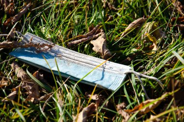 Kullanılmış tıbbi maske, yeşil çimlerin üzerinde ve düşmüş yaprakların üzerinde buruşmuş. Covid-19 salgınından sonra küresel çevre sorunları.