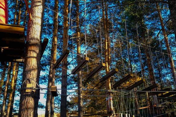 Seilstadt Blick Von Unten Holztreppen Sind Bäume Gebunden — Stockfoto