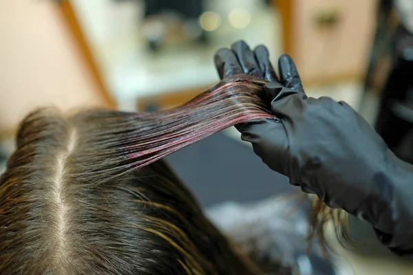 Master Holds Strand Hair His Hand Applies Paint Dark Hair — Stock Photo, Image