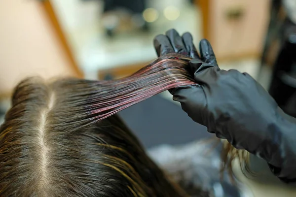 Maestro Sostiene Mechón Pelo Mano Aplica Pintura Pelo Oscuro —  Fotos de Stock