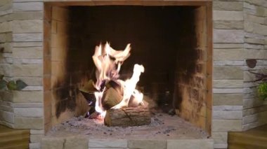 Şöminede odun yanıyor. Sobanın içinde alev alev yanan bir ateş. Solgun, güzel bir yanık