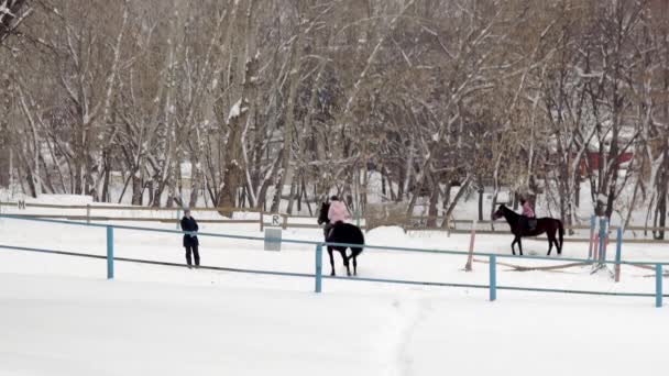 女孩子们在冬天学习骑马。学习骑雪地围场. — 图库视频影像
