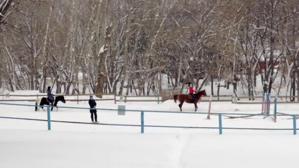 女孩子们在冬天学习骑马。学习骑雪地围场. — 图库视频影像