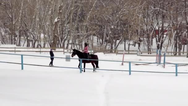 Bir kız siyah ata binmeyi kışın öğrenir. At binmek için karlı bir çayırlık — Stok video