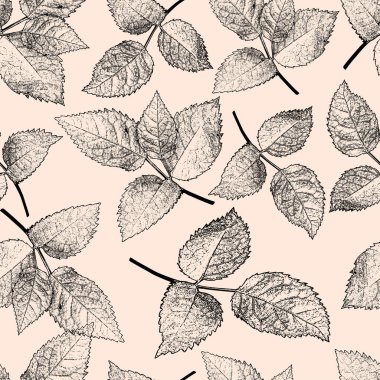 Gül yapraklı kalem deseni, zarif, hafif bir işçilik. Yatak, tekstil, kumaş, perde, duvar kağıdı, leğen, çarşaf vs. için uygun.