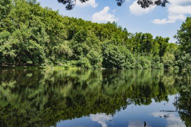 Göl kenarındaki yeşil orman doğadaki su güzelliğinin yansımasıdır.
