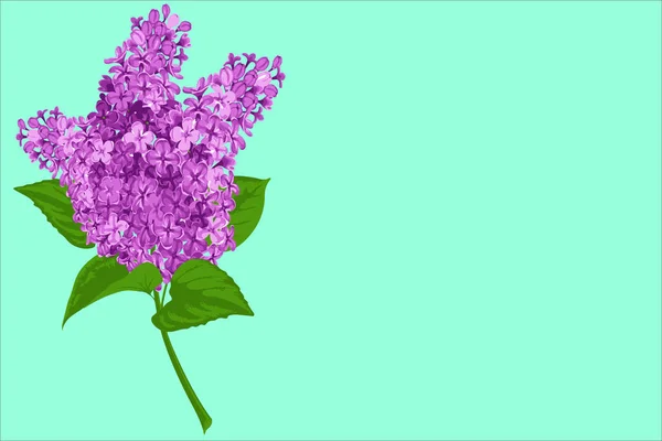 Spring Floral Frame Purple Color — Stock Vector