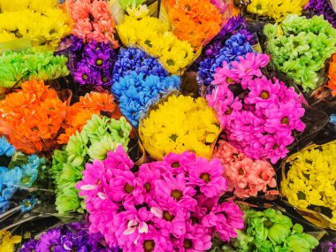 Taze kasımpatı çiçeklerinin dekoratif kompozisyonu, sonbahar buketi. Renkli kasımpatı çiçekleriyle süslü tasarım. Çok renkli kasımpatılar.