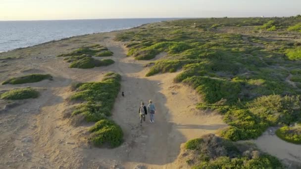 Ein Paar Frauen, die bei Sonnenuntergang am Strand spazieren, aus der Luft — Stockvideo