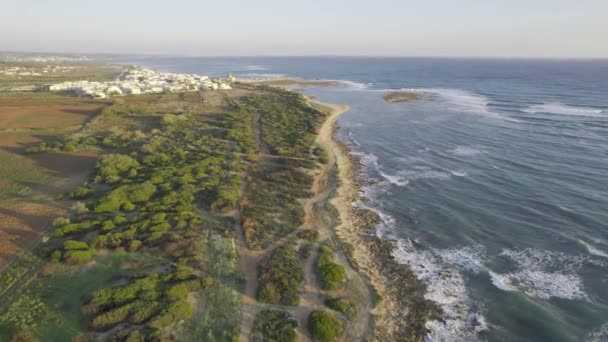 Aerial View of a Idyllic Beach in Apulia, Olaszország — Stock videók