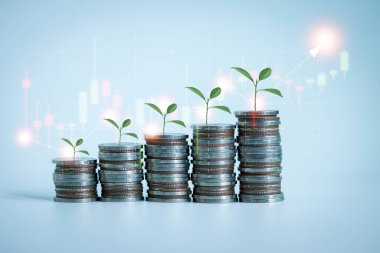 Madeni ve iş geçmişinde yığınla para var. Tasarruf ve Hesaplar, Finans Bankaları Fikirler, Yatırımlar, Fonlar, Tahviller, Paylaşım, Faiz, Madeni Paralarda Büyüyen Bitkiler.