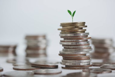 İş ve finans için arka plan. Üstünde para ve ağaç yığını var. Tasarruf ve Hesaplar, Finans Bankaları Fikirler, Yatırımlar, Fonlar, Tahviller, Bölünmeler ve Faizler.