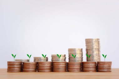 Para birikintileri grafikle birlikte büyüyor, İş Finansmanı kavramı. Tasarruf ve Hesaplar, Banka İşletmeleri, Yatırımlar, Fonlar, Tahviller, Bölünmeler, Faizler, Bitkiler en tepede büyüyor.