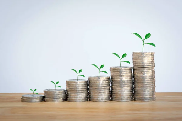 화폐를 재정적 사업적 Savings Accounts Finance Banking Business Concept Ideas — 스톡 사진