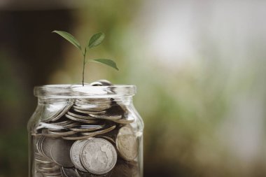 Plant growing in a glass jar with full of coins for financial and business background. Savings and Accounts, Finance Banking Business Ideas, Investments, Funds, Bonds, Dividends and Interest.