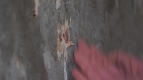 Czyszczenie Ściany Starej Tapety — Wideo stockowe