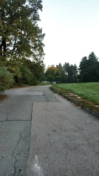 Straße Der Stadt — Stockfoto