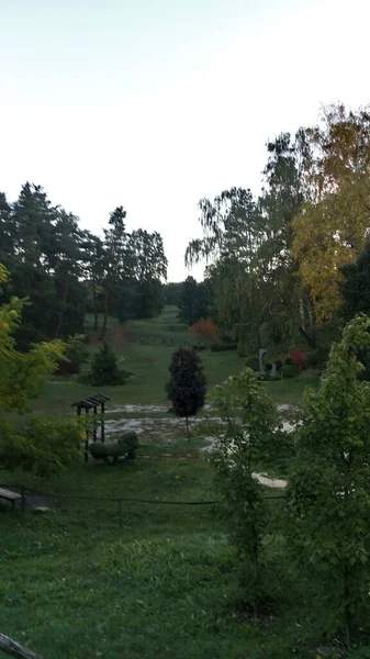 Hermoso Paisaje Con Árbol Campo —  Fotos de Stock