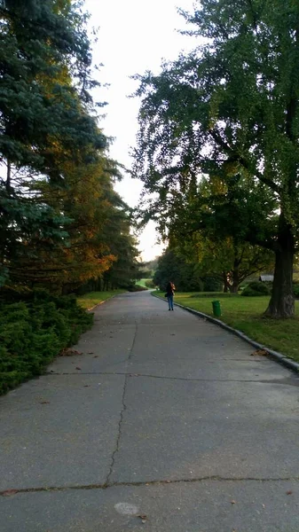 Vacker Utsikt Över Stadsparken — Stockfoto