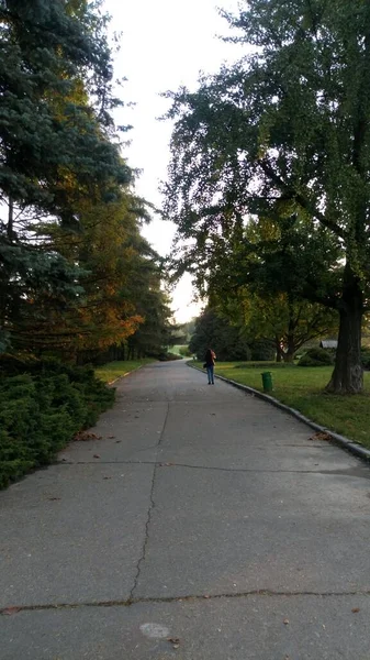 秋天散步穿过公园 — 图库照片