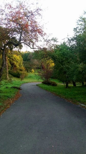 Krásný Podzimní Park Městě — Stock fotografie