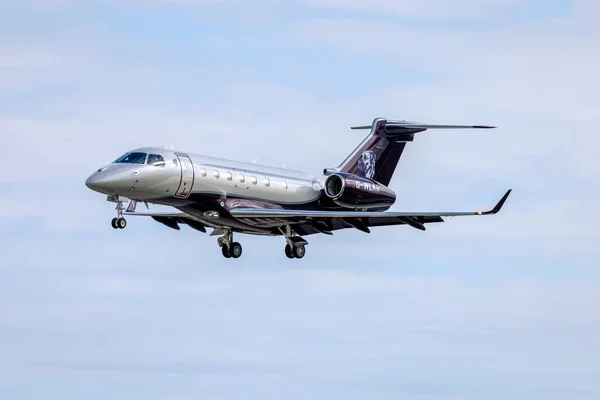 Luqa, Malta - 19 Ocak 2022: Özel bir Embraer EMB-550 Miras 500 (REG: G-WLKR) kuyruk yüzgecinde güzel bir köpek portresi.